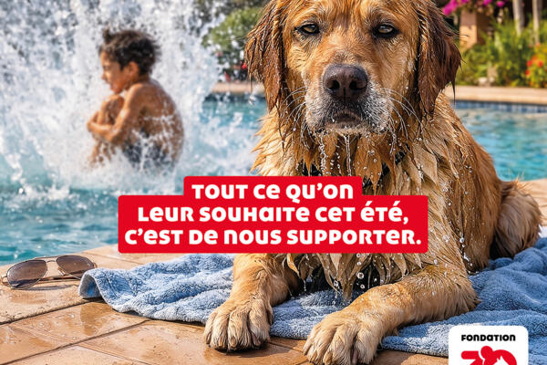 Fondation 30 Millions d’Amis : campagne estivale de sensibilisation