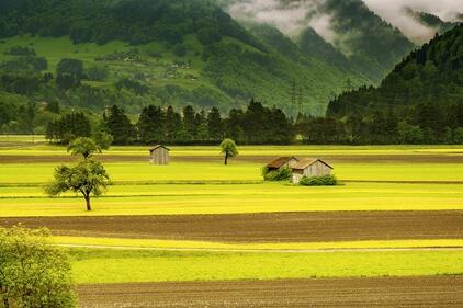 Nature propre